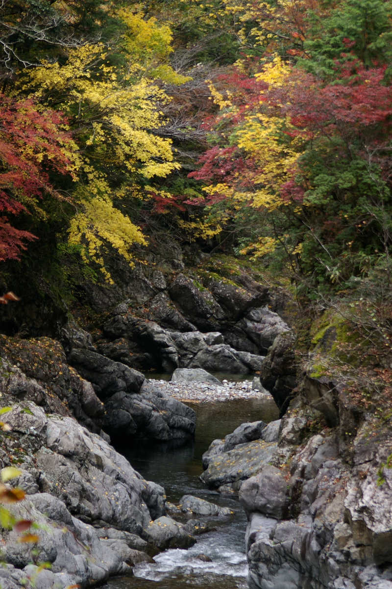 奈良・大塔町・舟の川の紅葉