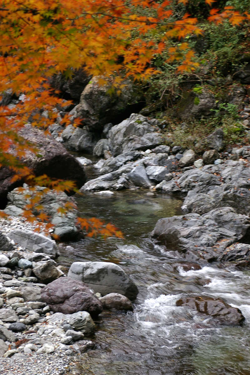 奈良・大塔町・舟の川の紅葉