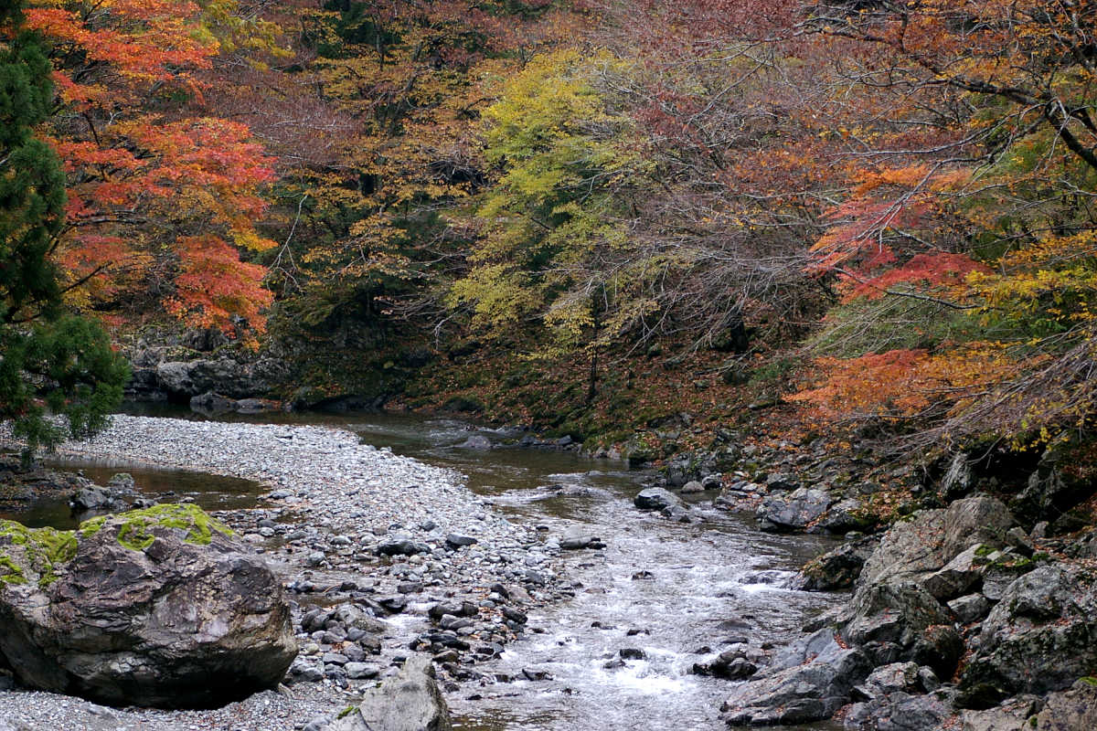 奈良・大塔町・舟の川の紅葉