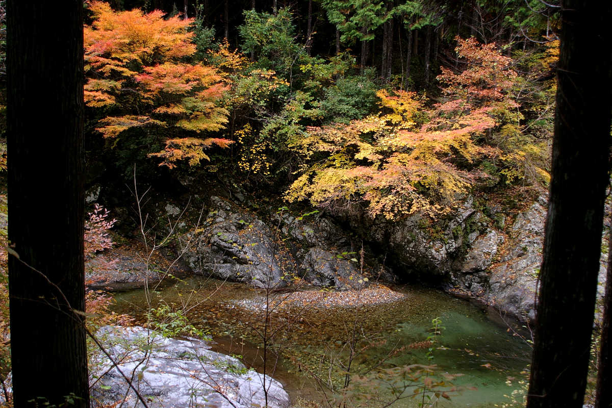 奈良・大塔町・舟の川の紅葉