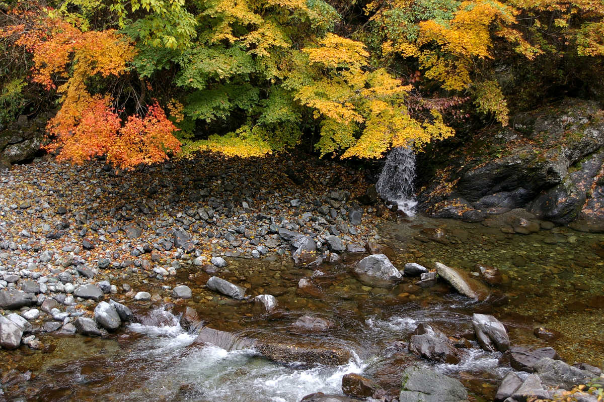 奈良・大塔町・舟の川の紅葉