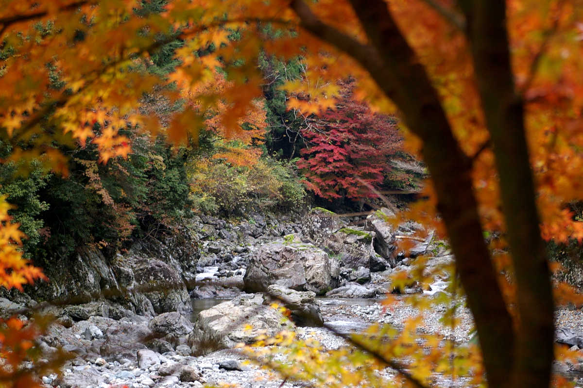 奈良・大塔町・舟の川の紅葉