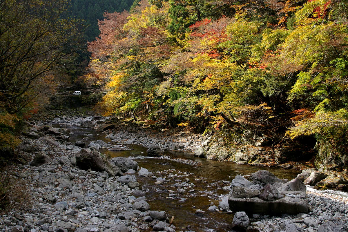 奈良・大塔町・舟の川の紅葉
