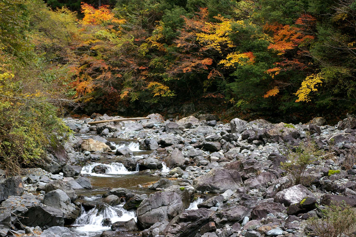 奈良・大塔町・舟の川の紅葉