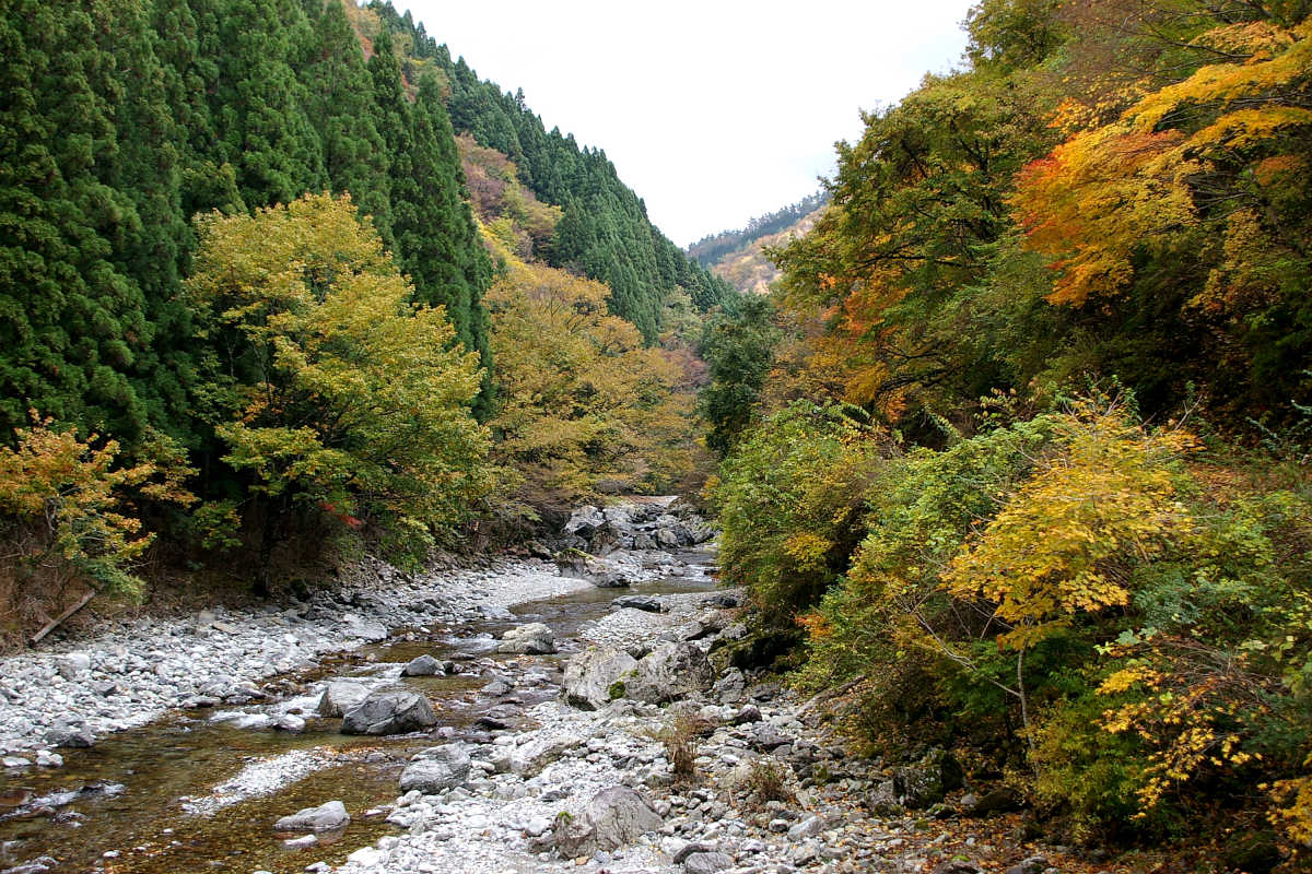 奈良・大塔町・舟の川の紅葉