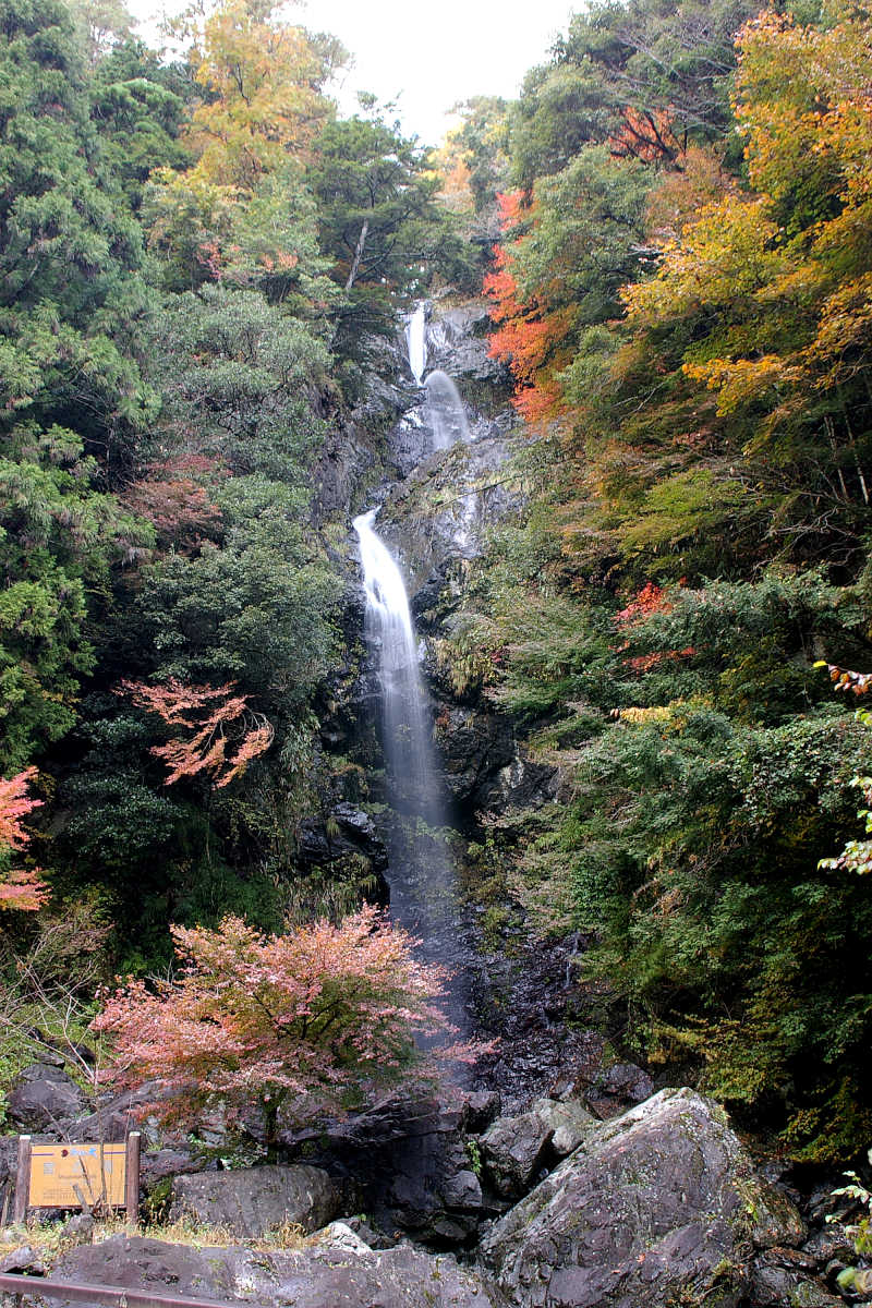奈良・大塔町・舟の川の紅葉