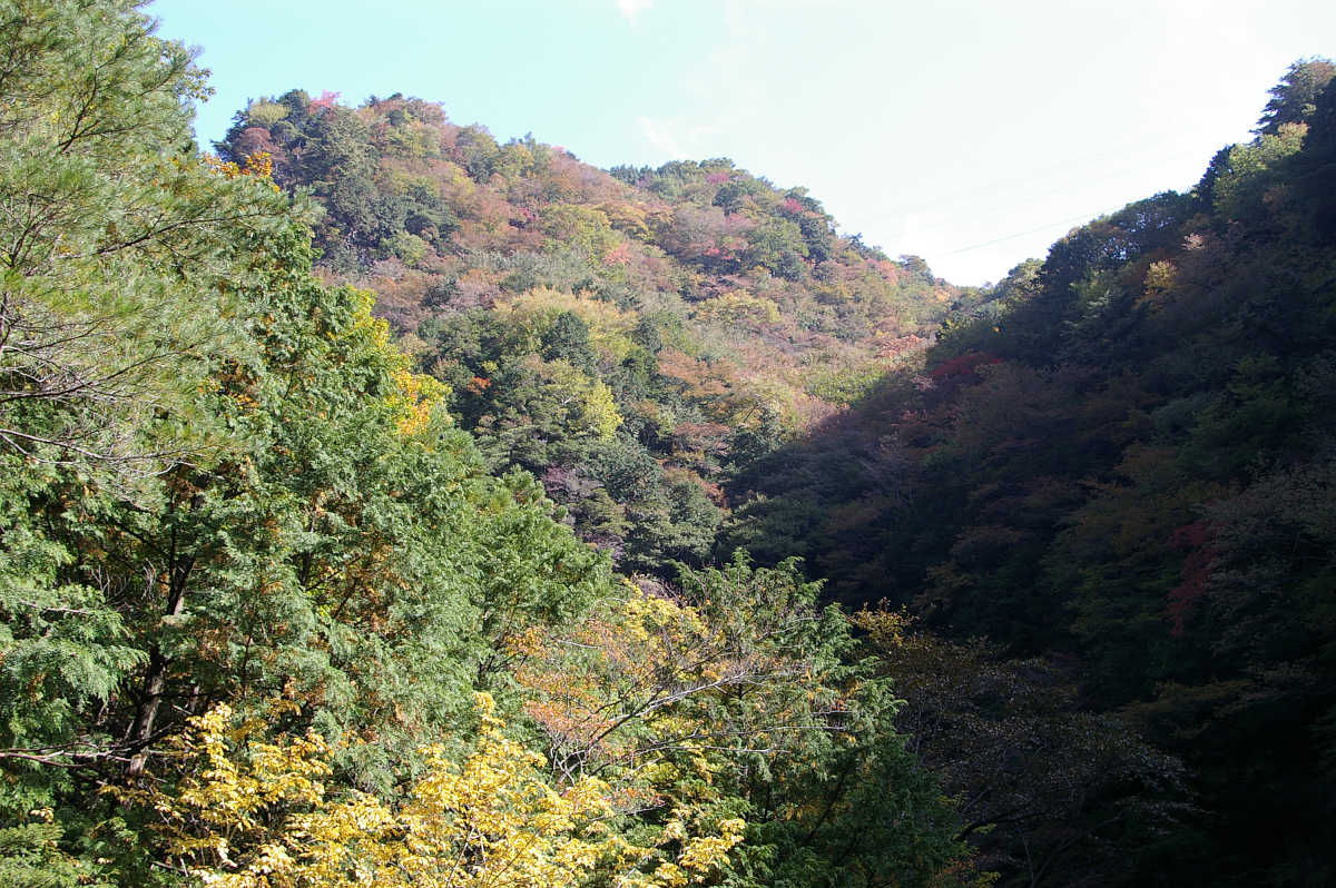 奈良・天川村・御手洗渓谷の紅葉