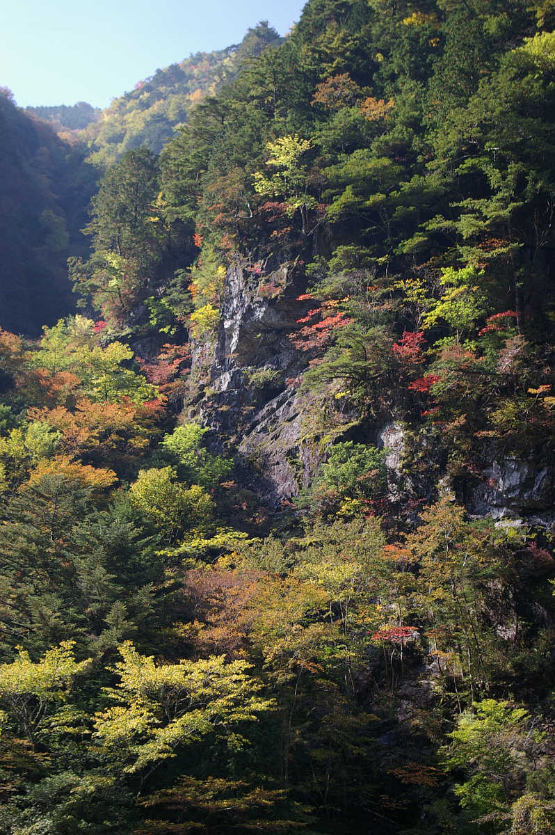 奈良・天川村・御手洗渓谷の紅葉