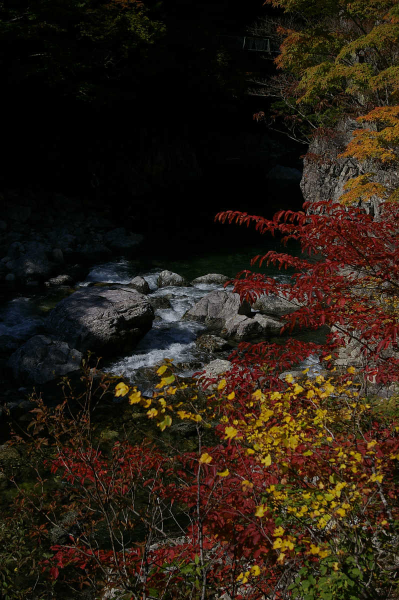 奈良・天川村・御手洗渓谷の紅葉