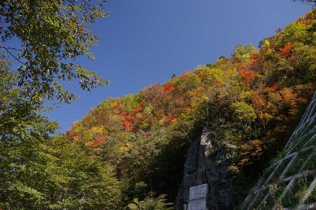奈良・天川村・御手洗渓谷の紅葉