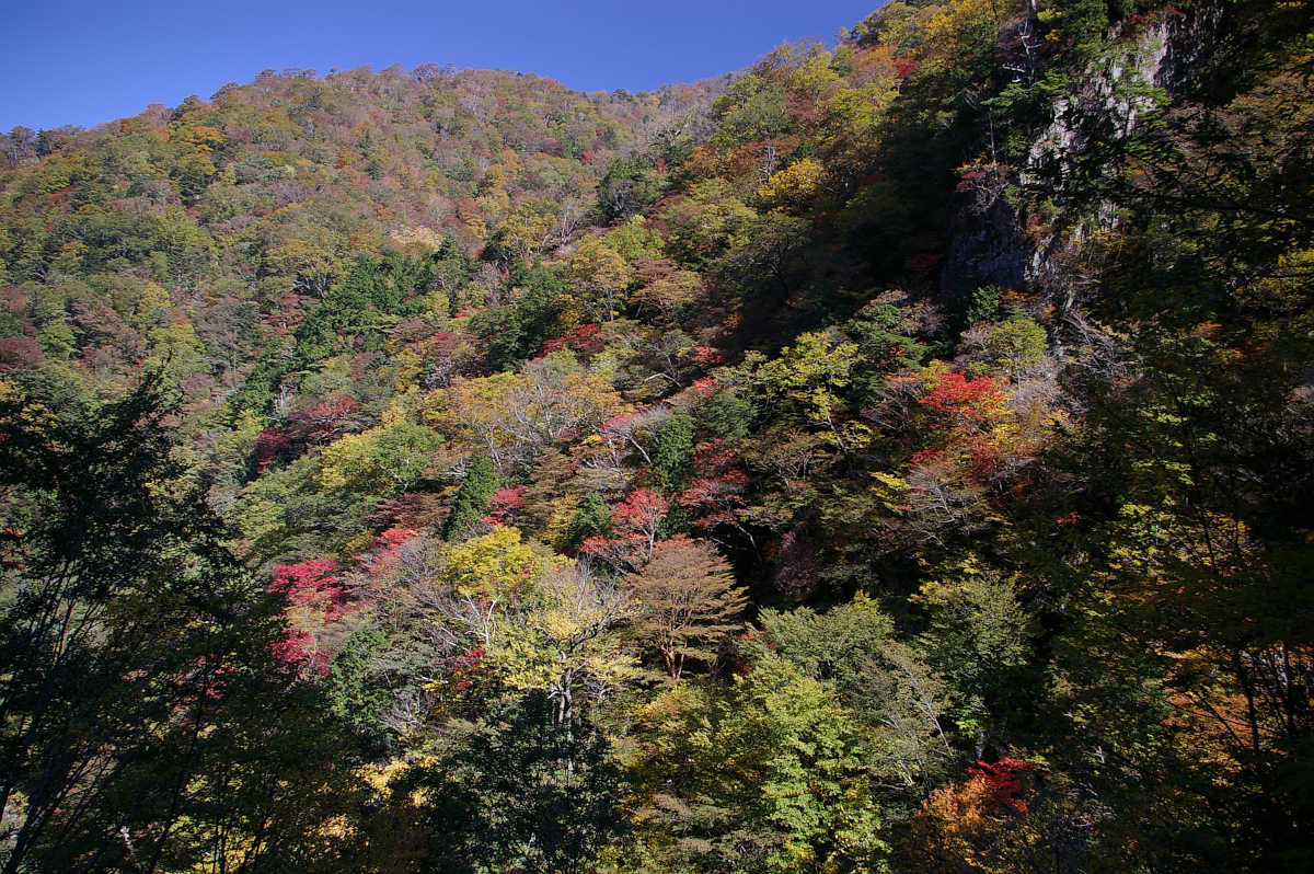 奈良・天川村・御手洗渓谷の紅葉