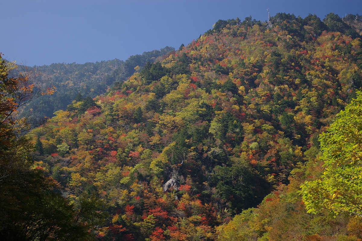 奈良・天川村・御手洗渓谷の紅葉