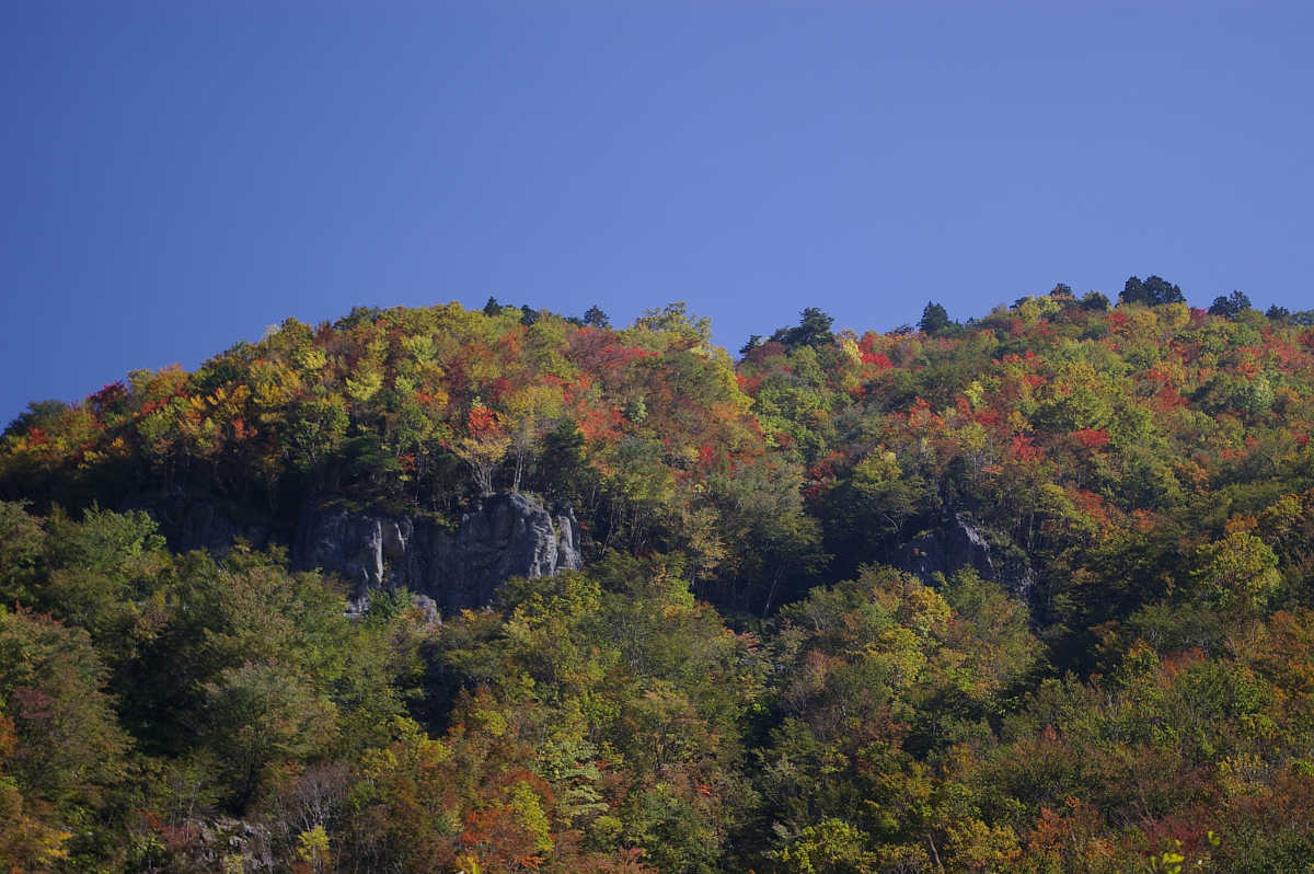奈良・天川村・御手洗渓谷の紅葉