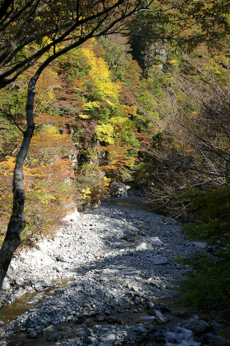 奈良・天川村・御手洗渓谷の紅葉