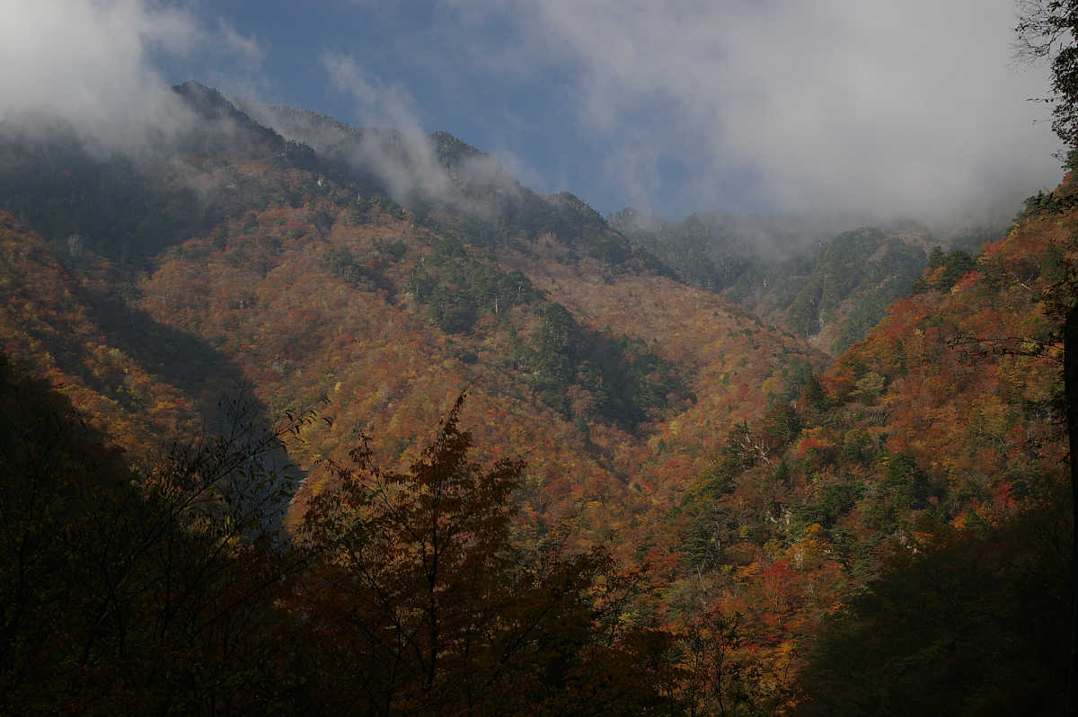 奈良・天川村・御手洗渓谷の紅葉
