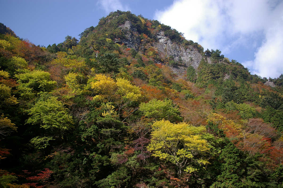 奈良・天川村・御手洗渓谷の紅葉