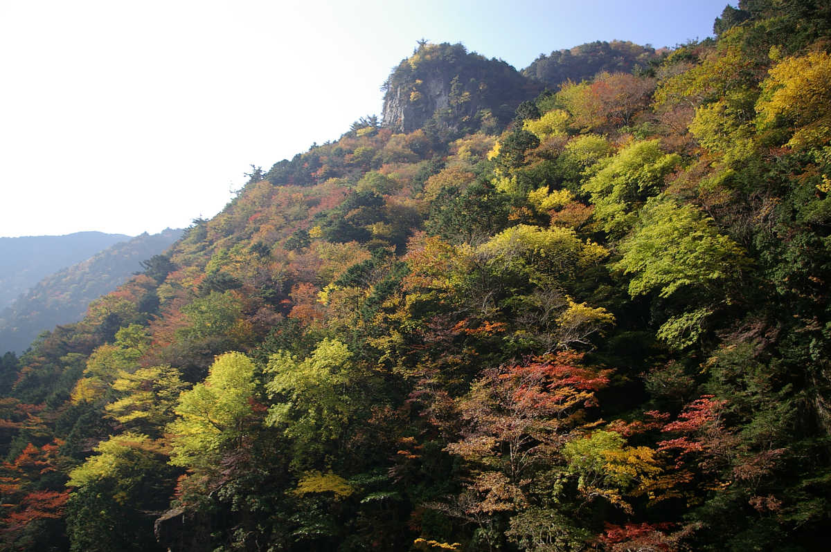 奈良・天川村・御手洗渓谷の紅葉