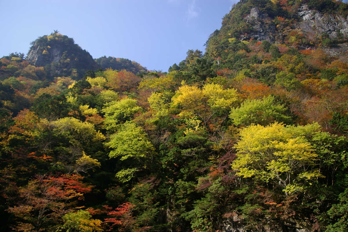 奈良・天川村・御手洗渓谷の紅葉