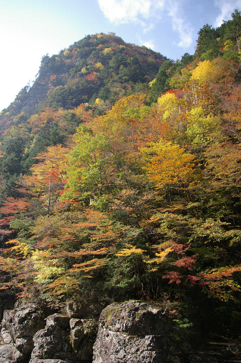 奈良・天川村・御手洗渓谷の紅葉