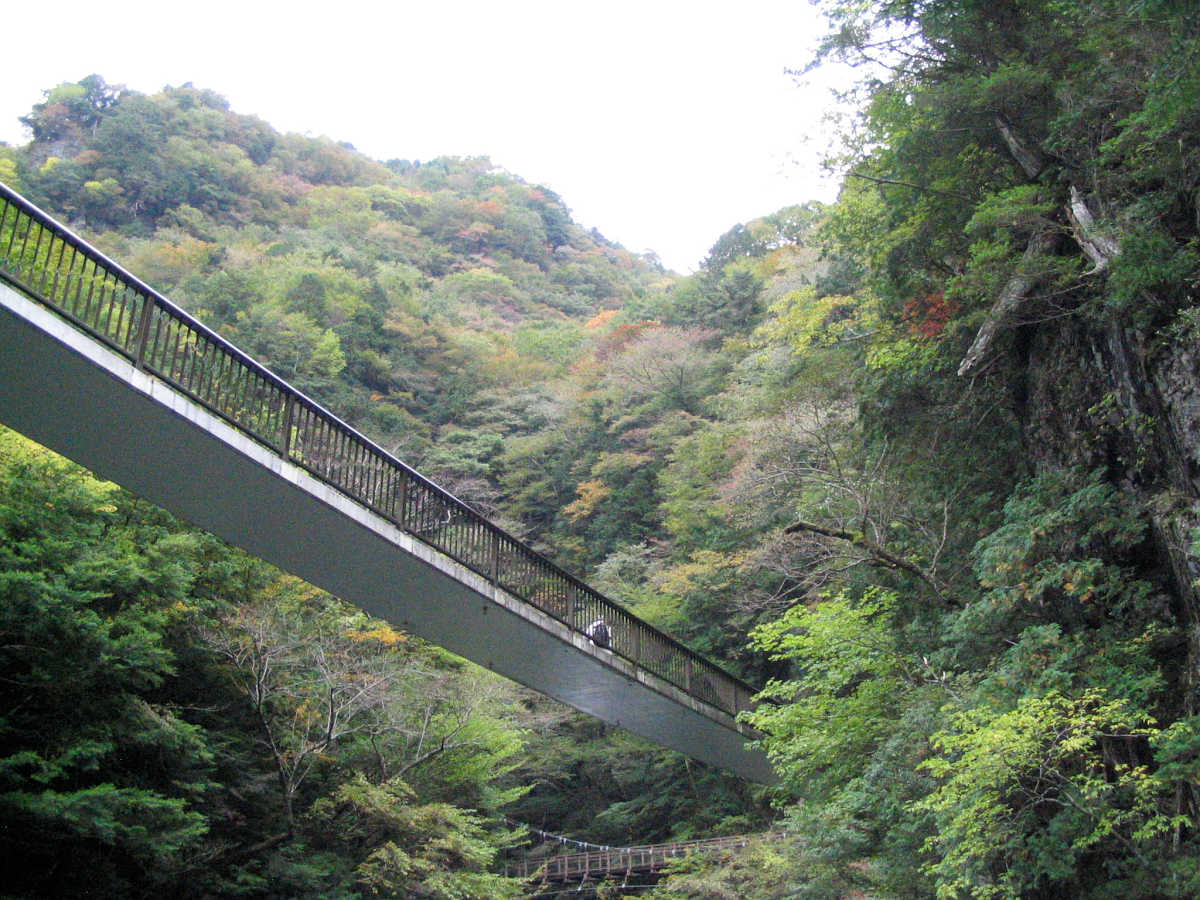 奈良・天川村・御手洗渓谷の紅葉