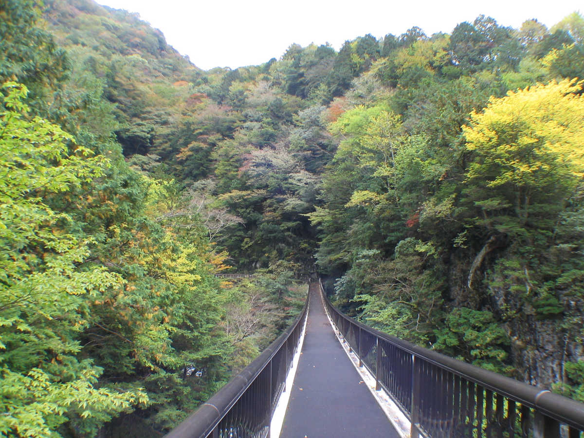 奈良・天川村・御手洗渓谷の紅葉