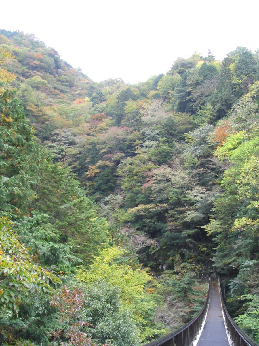 奈良・天川村・御手洗渓谷の紅葉