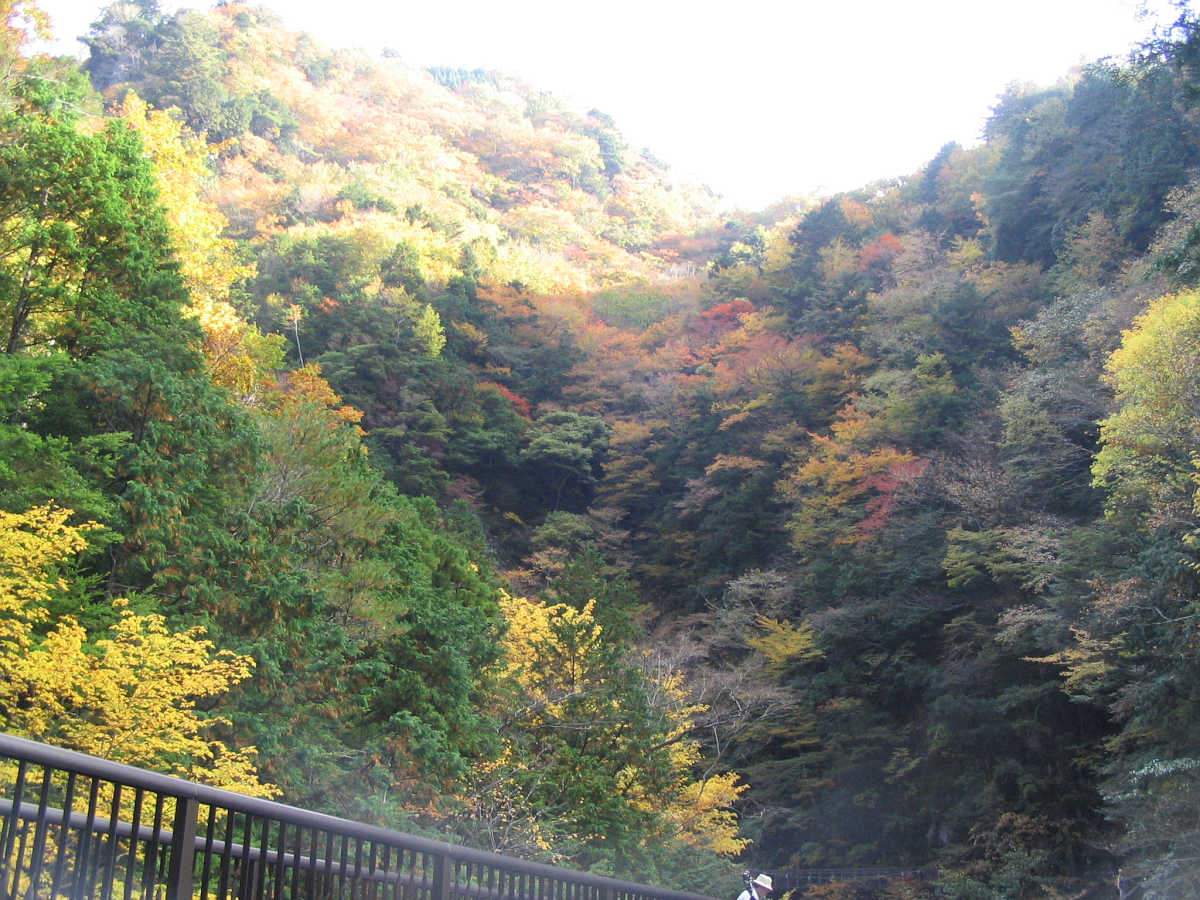 奈良・天川村・御手洗渓谷の紅葉
