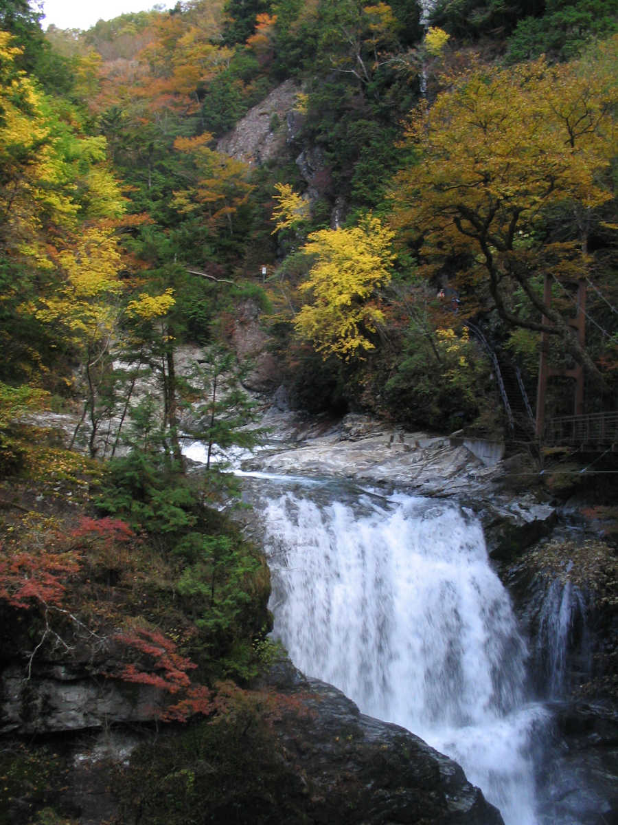 奈良・天川村・御手洗渓谷の紅葉