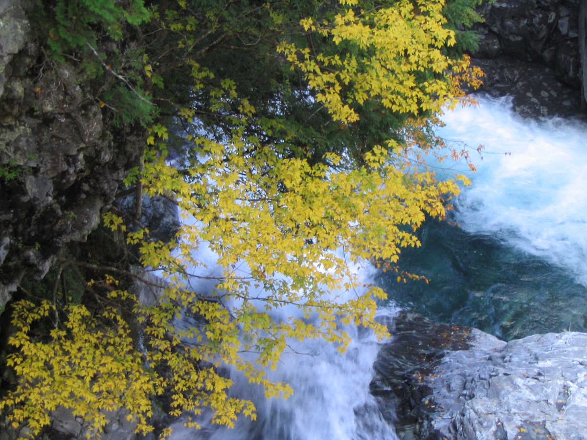 奈良・天川村・御手洗渓谷の紅葉