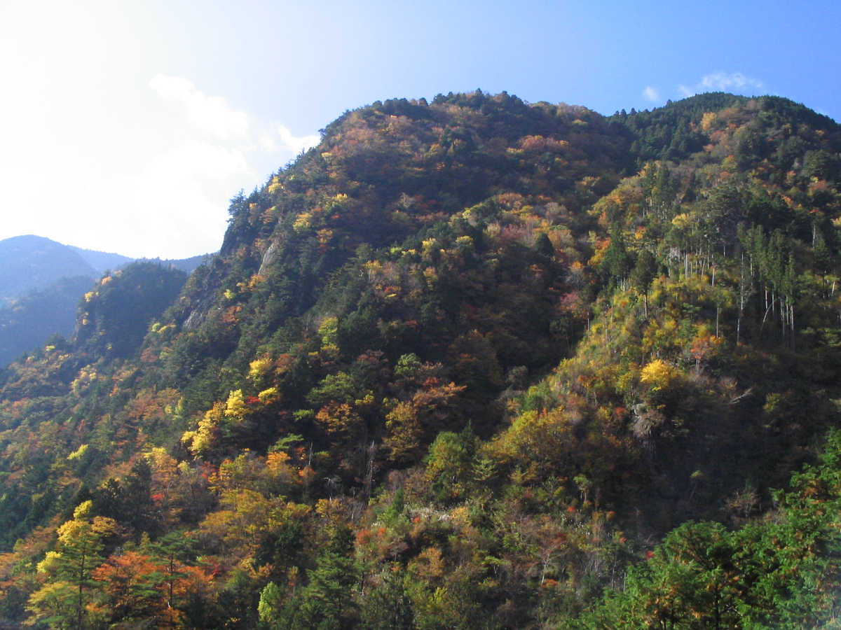 奈良・天川村・御手洗渓谷の紅葉