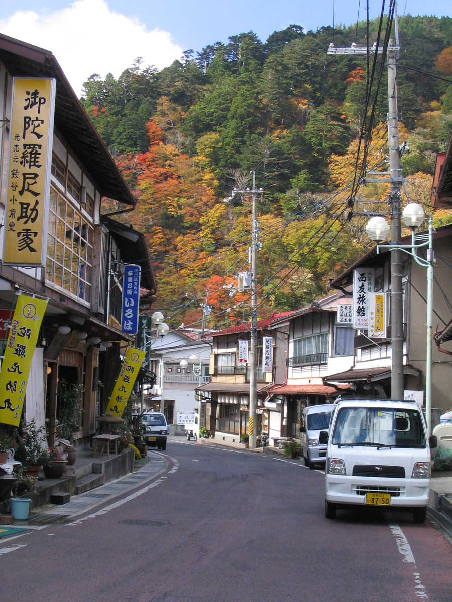 奈良・天川村・御手洗渓谷の紅葉