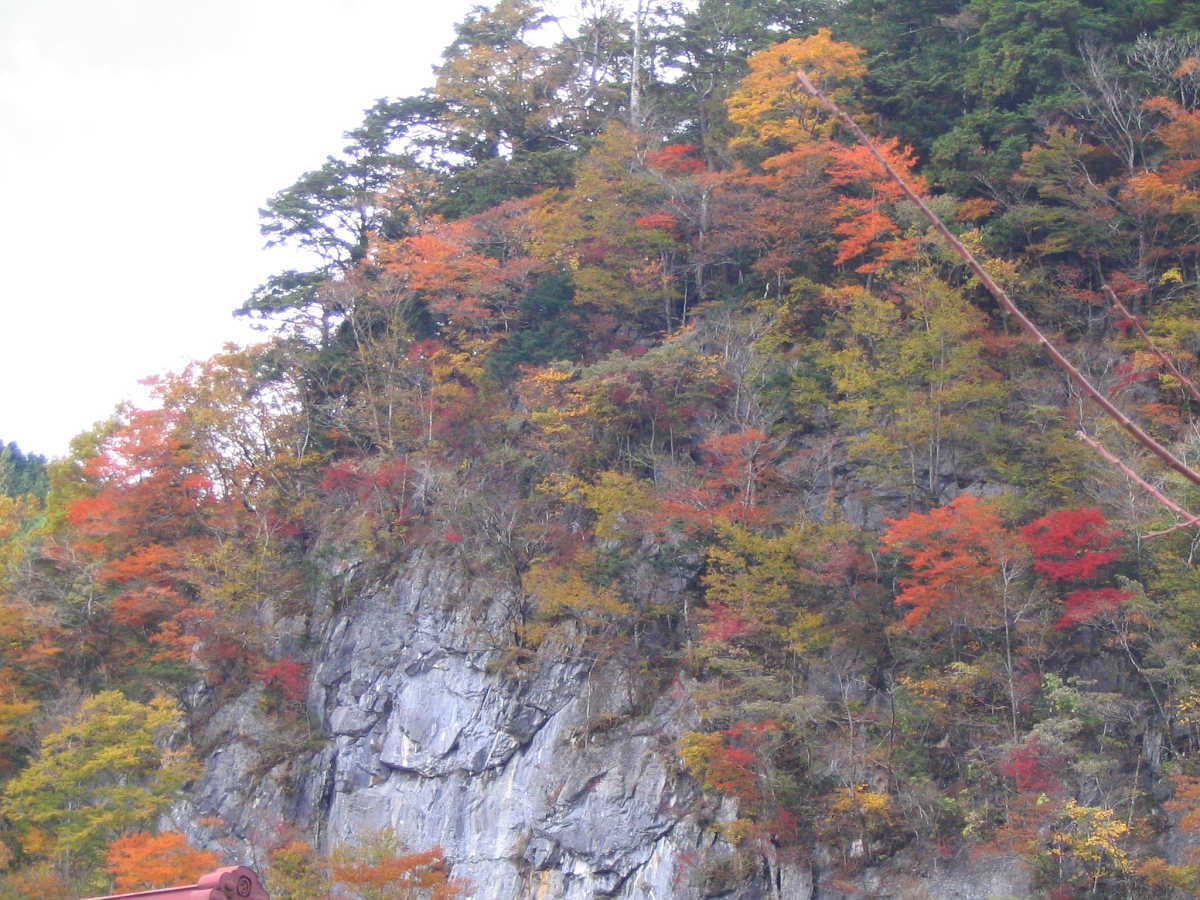 奈良・天川村・御手洗渓谷の紅葉