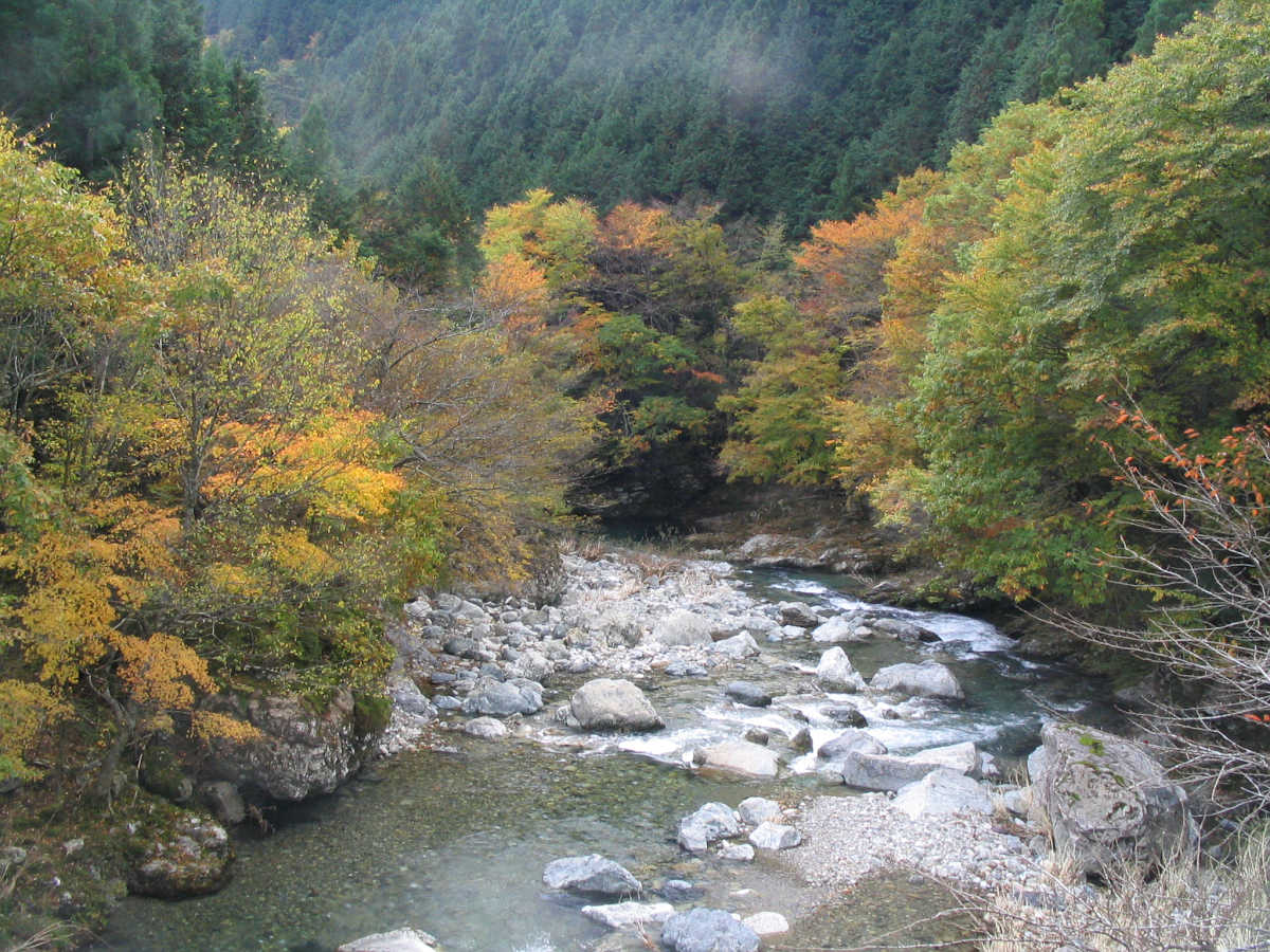 奈良・天川村・御手洗渓谷の紅葉