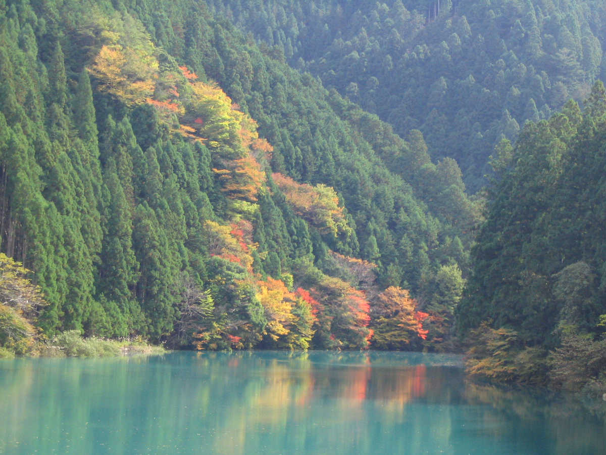 奈良・天川村・御手洗渓谷の紅葉