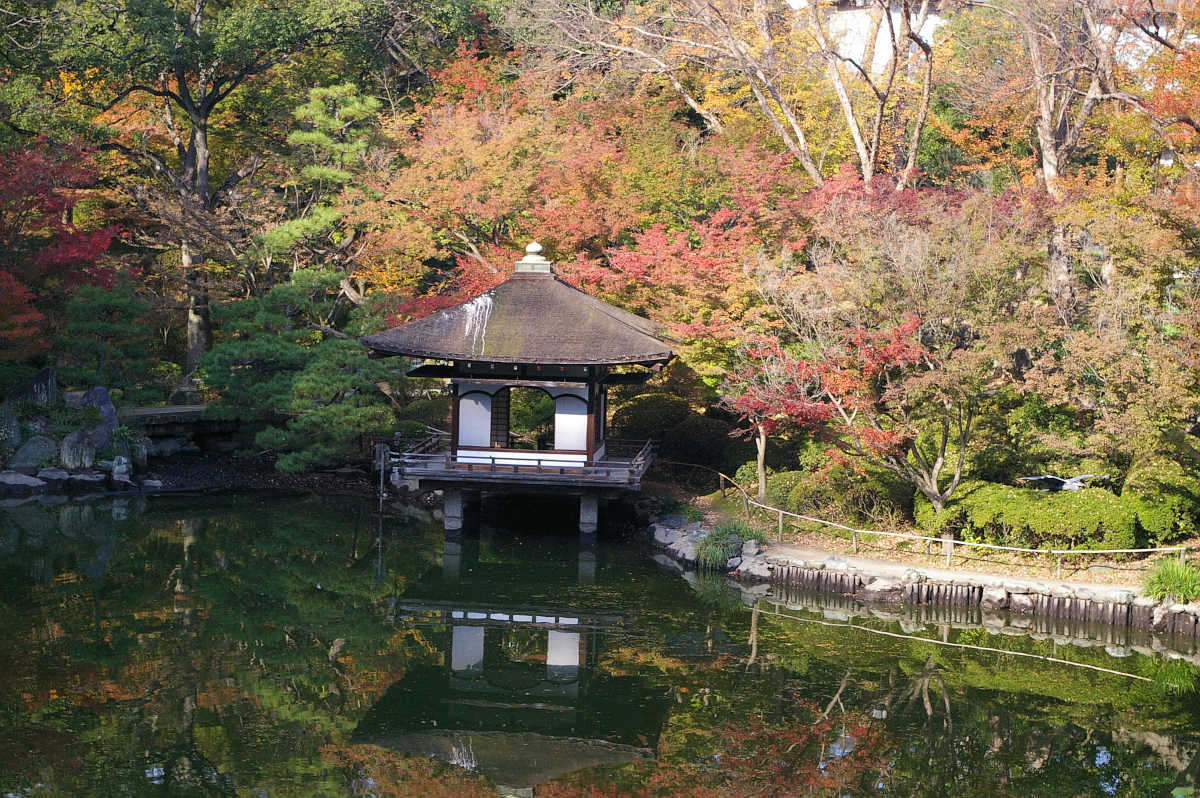 和歌山城 紅葉渓庭園の紅葉