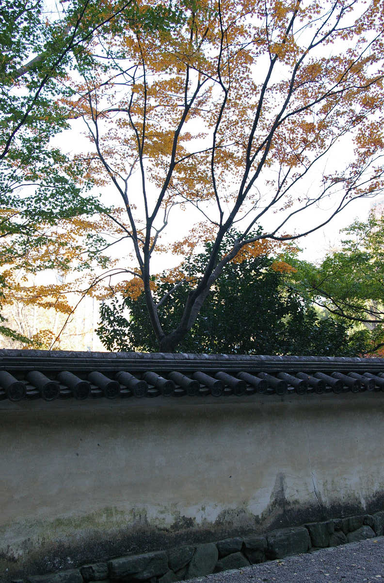 和歌山城 紅葉渓庭園の紅葉