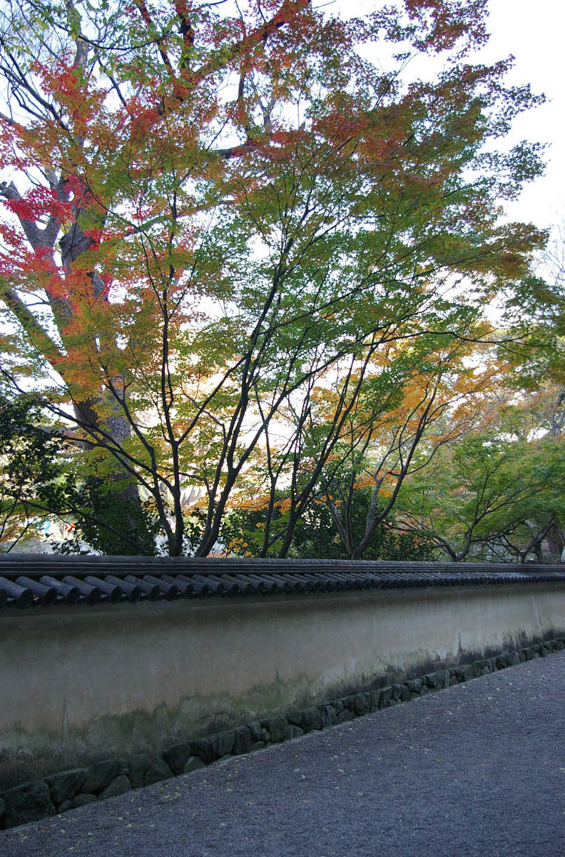 和歌山城 紅葉渓庭園の紅葉