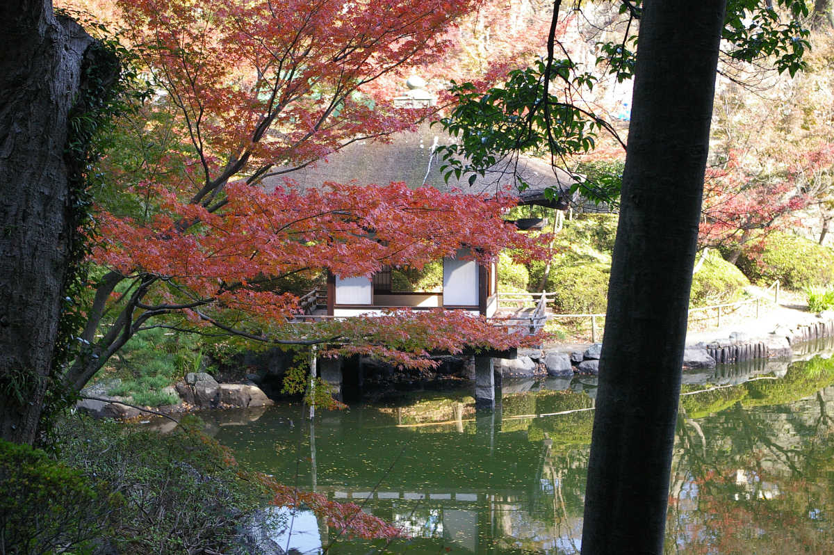 和歌山城 紅葉渓庭園の紅葉