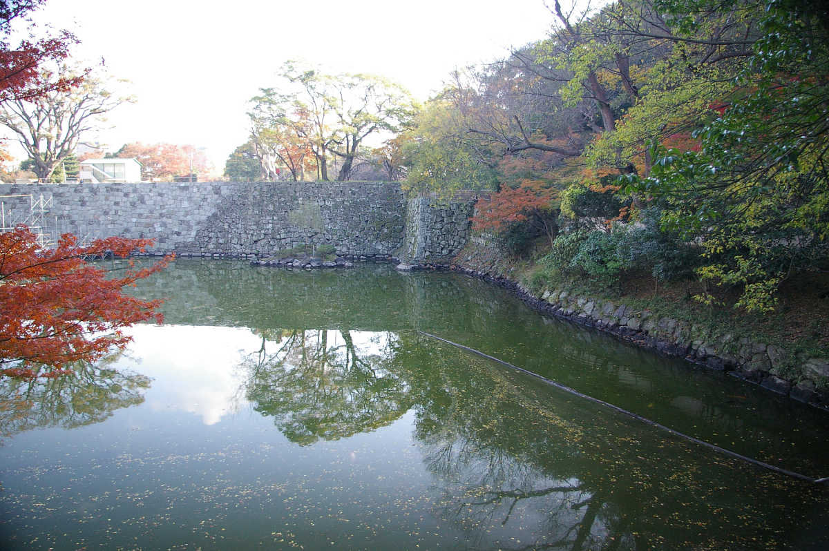和歌山城 紅葉渓庭園の紅葉