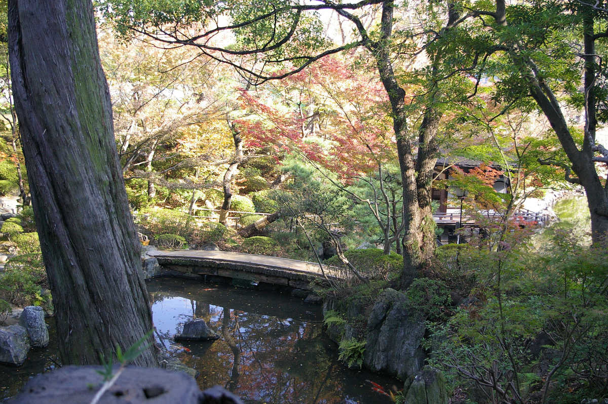 和歌山城 紅葉渓庭園の紅葉