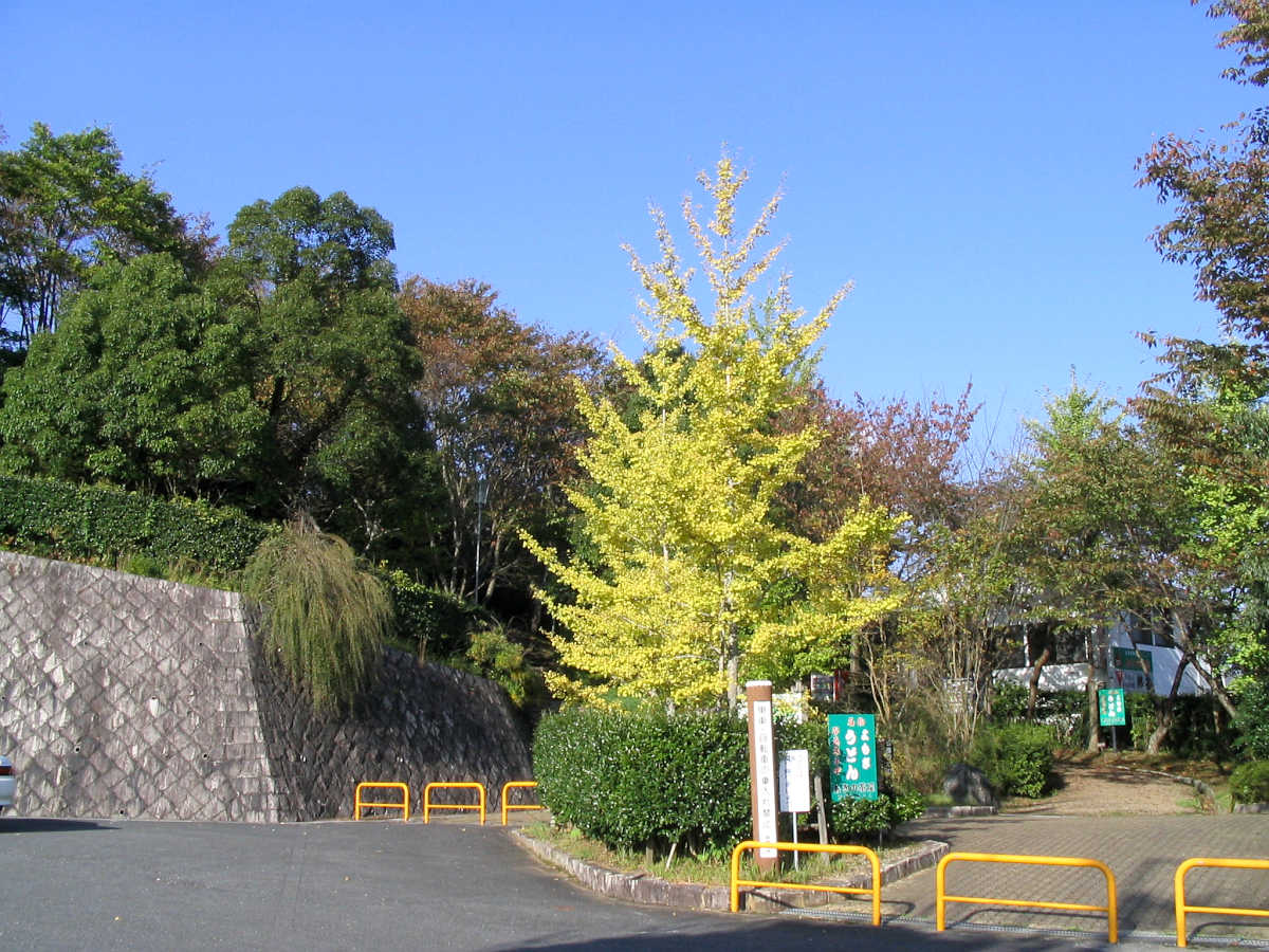 大宇陀町の又兵衛桜、散策