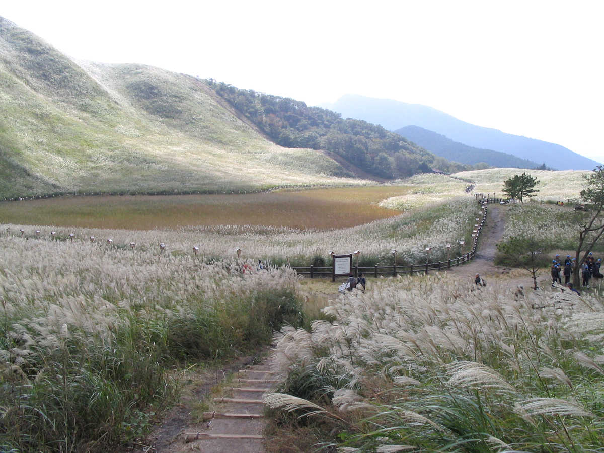 奈良 曽爾村、御杖村周辺