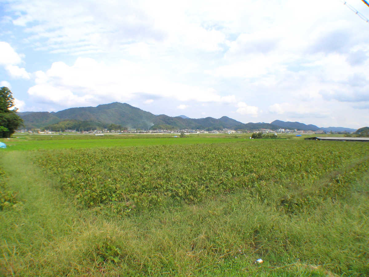 丹波篠山、立杭