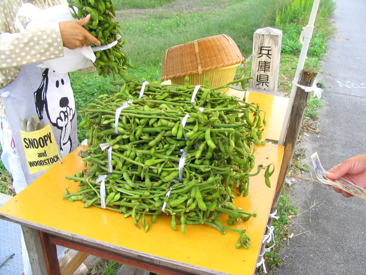 丹波篠山、立杭