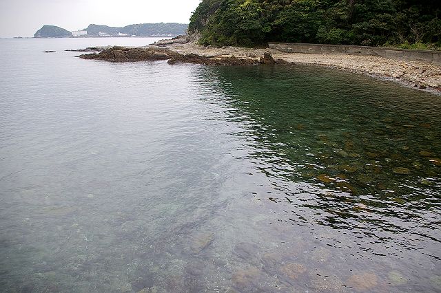 和歌山の温泉・夏山温泉　もみじや旅館